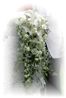 FROSTED FLORAL MEMORIES, preserve flower bouquet, preserve bridal bouquet, flower bouquet preservation, preserve my wedding flowers, freeeze dry floral preservation, preserve wedding bouquet, freeze fry bouquet, wedding bouquet preservation, bridal bouquet preservation, freeze dry wedding flower, preserve wedding bouquet, preserved flowers, freeze dried wedding flower, freeze dry flower bouquet, preserve wedding bouquet  